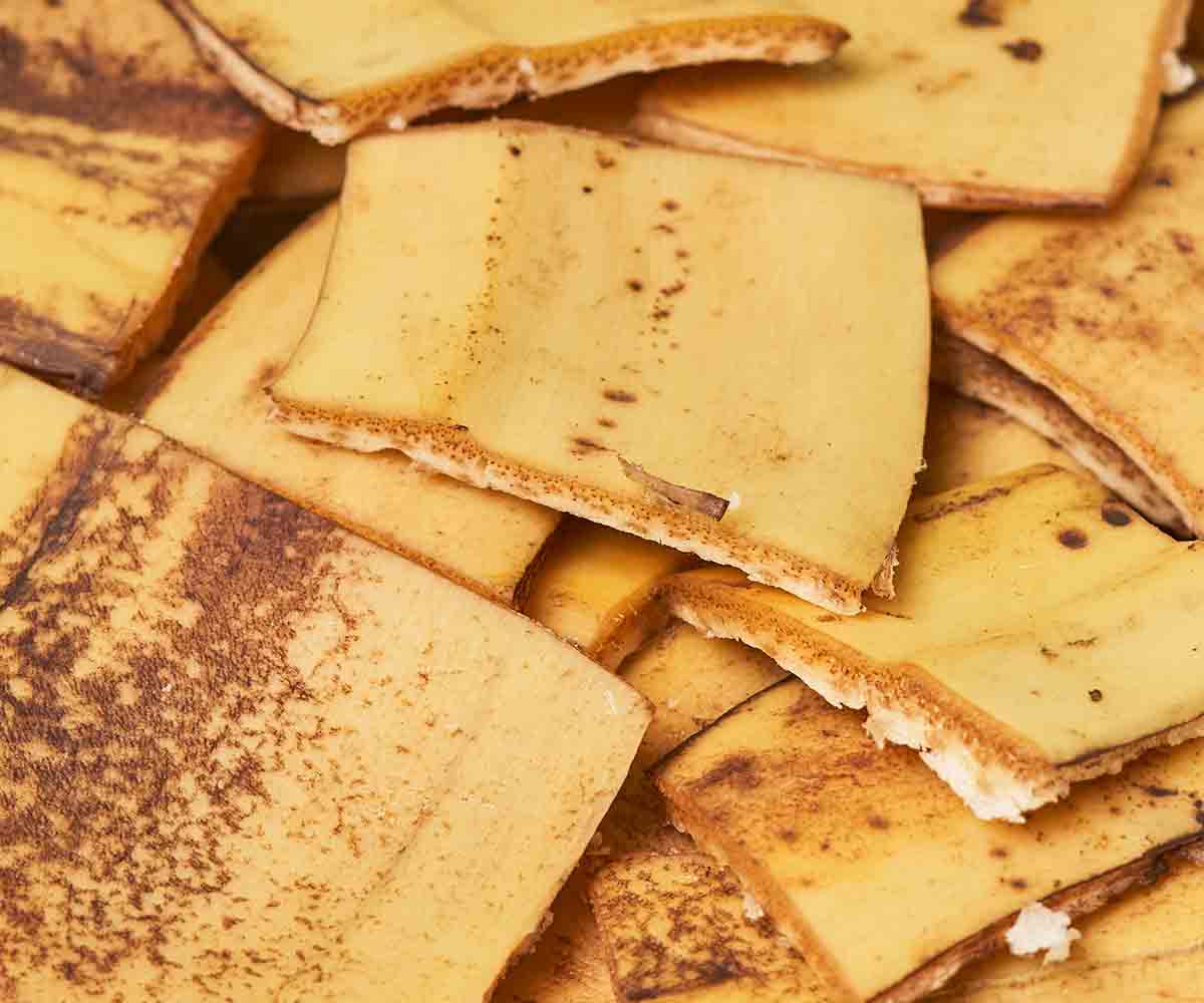 5 raisons de ne pas jeter vos peaux de banane
