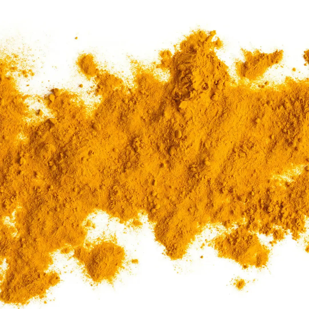 Poudre de Curcuma