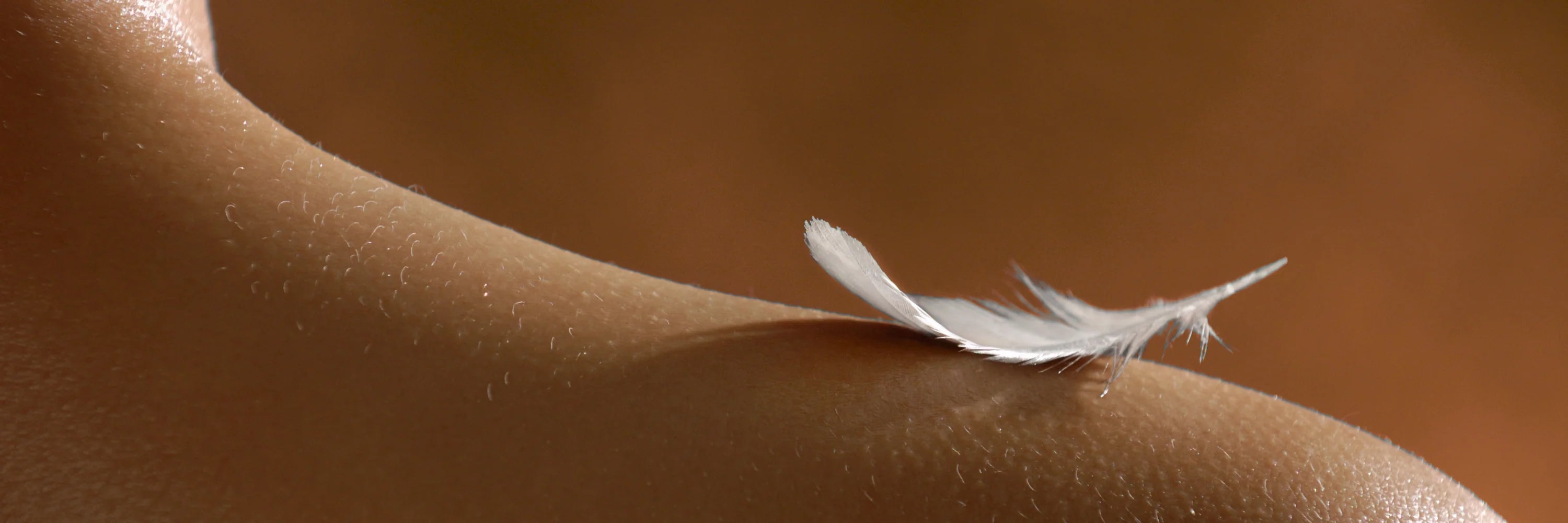 Apaisement & Anti-Rougeurs