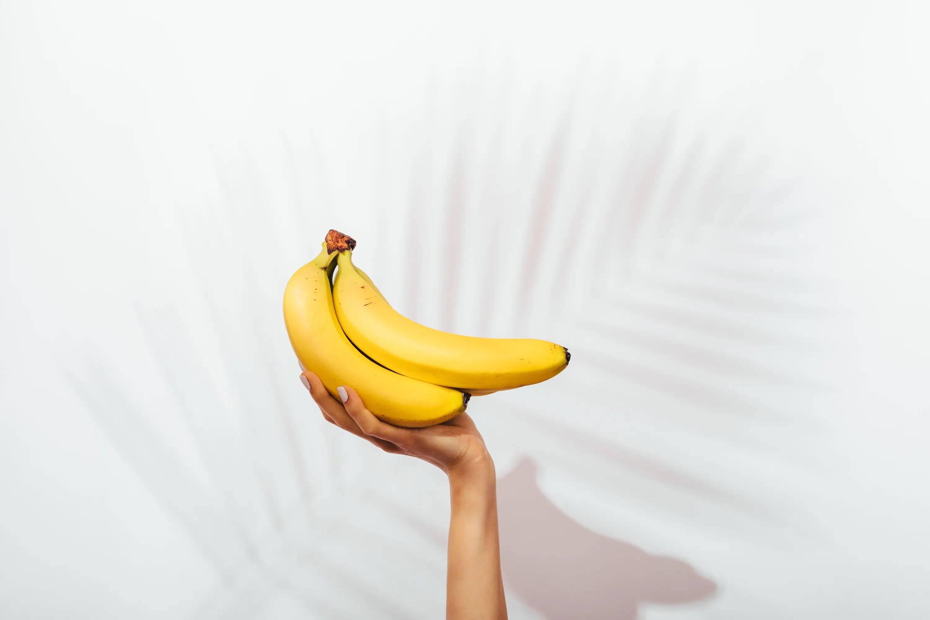 Bananes sous une ombre de palmier – symbole tropical des soins Kadalys
