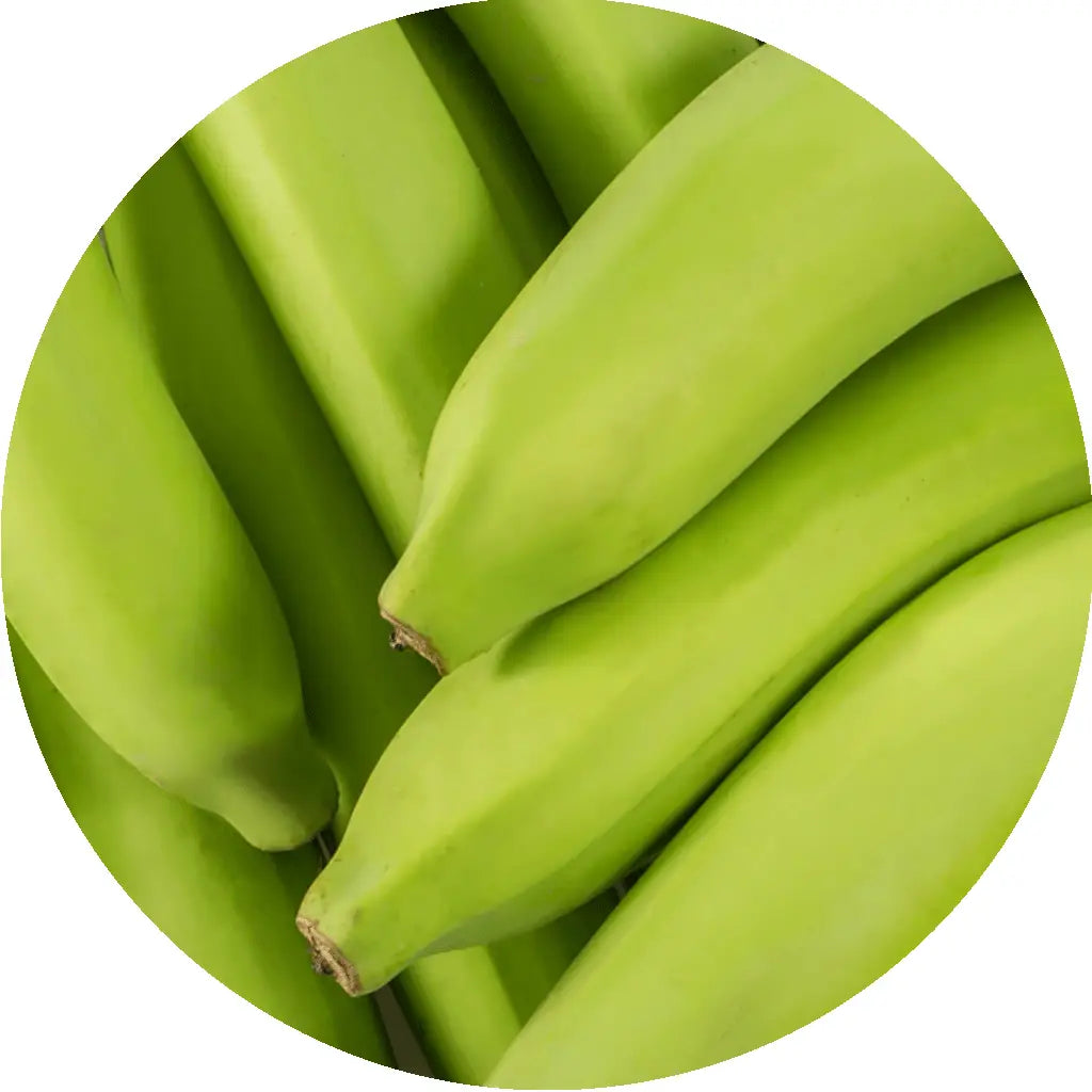 Bananes vertes bio cultivées durablement – ingrédient clé des soins Kadalys