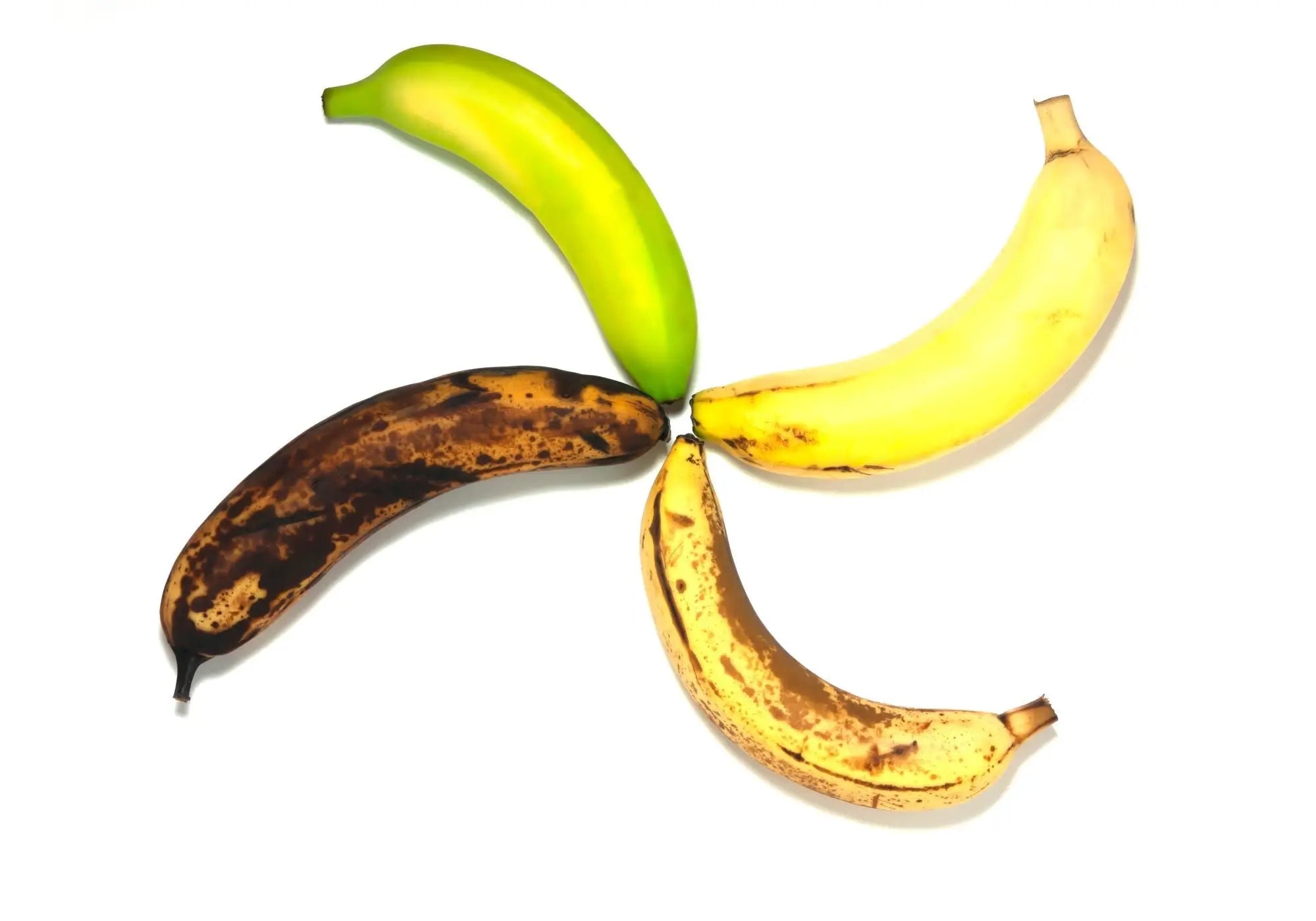Les quatre stades de maturité de la banane – symbole du cycle de vie chez Kadalys