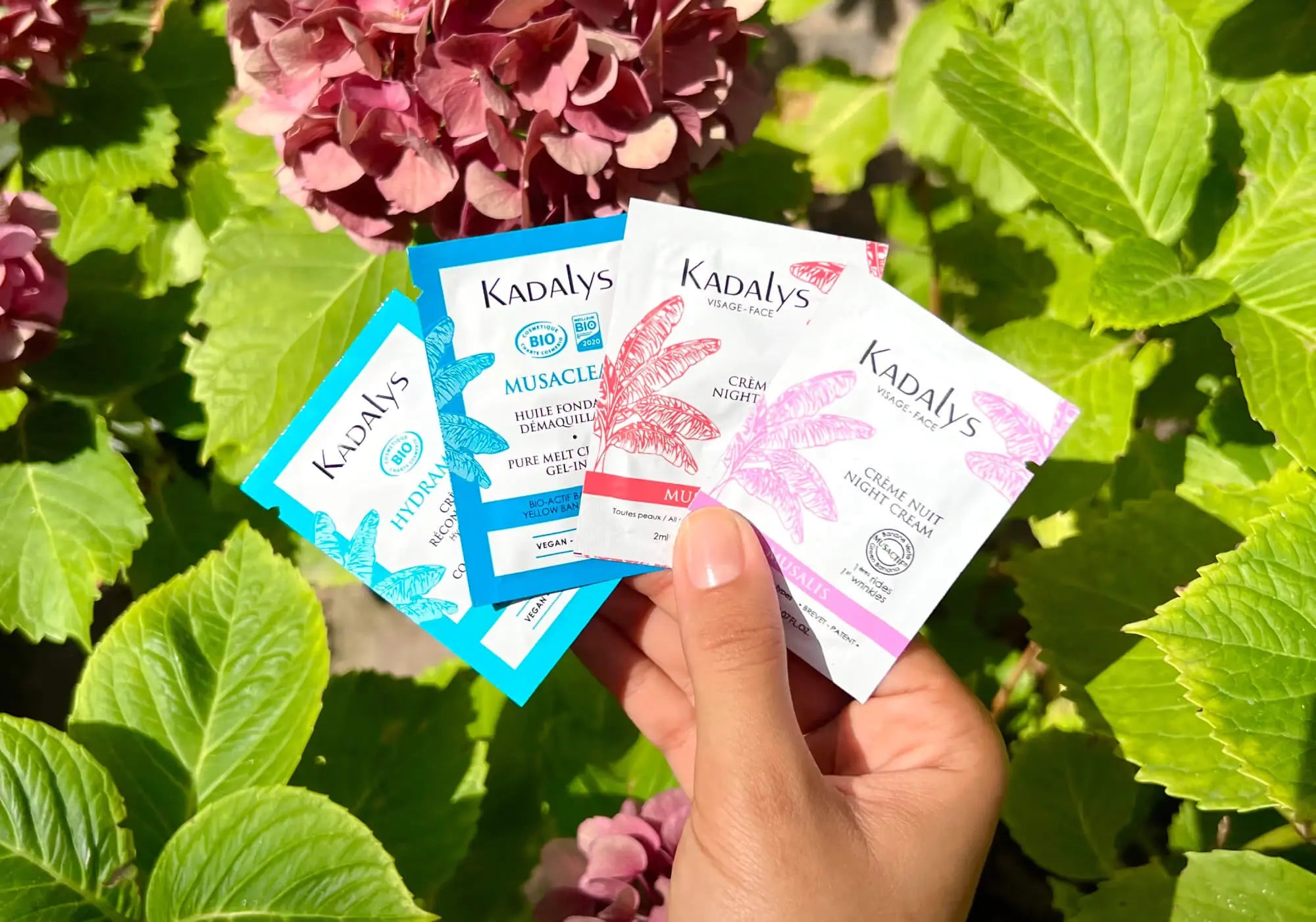 Échantillons des soins bio Kadalys – découverte de la cosmétique naturelle à la banane