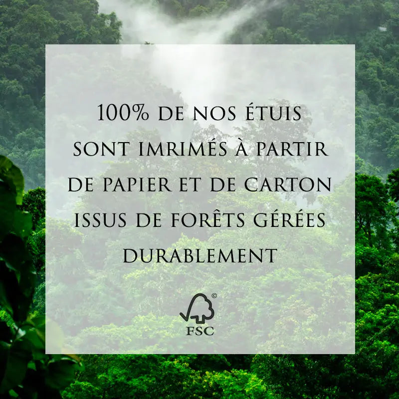 Étuis éco-conçus issus de forêts certifiées FSC – engagement durable de Kadalys