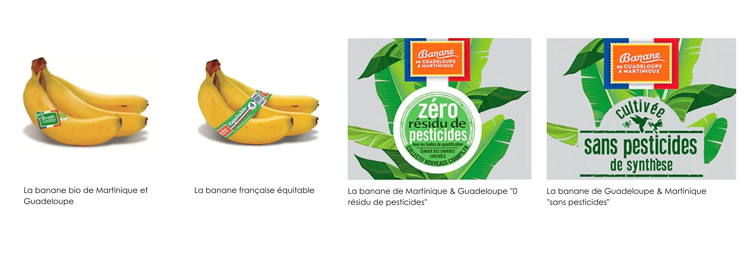 Gamme de soins Kadalys formulée à partir de bananes françaises upcyclées
