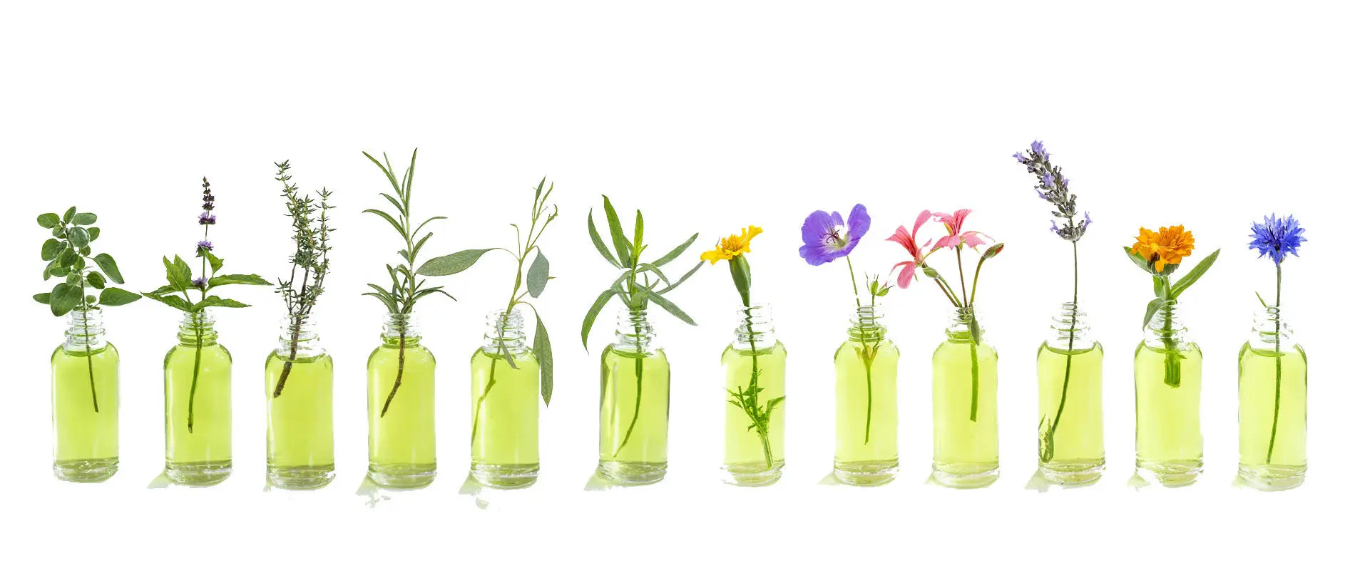 Flacons d’huiles végétales et essentielles naturelles utilisées par Kadalys
