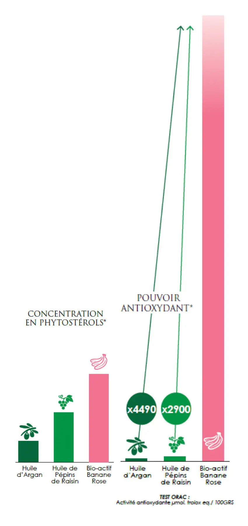 Infographie des bio-actifs issus de la banane rose – éclat et protection antioxydante des soins Kadalys