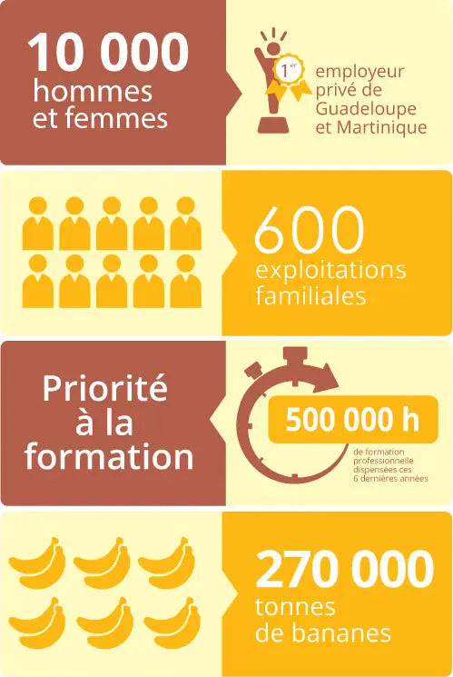 Infographie illustrant la filière de valorisation des bananes chez Kadalys – de la plantation au soin cosmétique