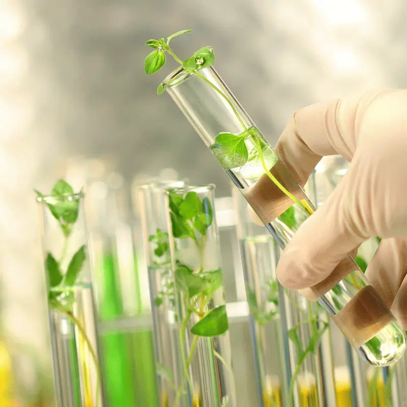 Laboratoire analysant un actif végétal – innovation responsable des soins Kadalys