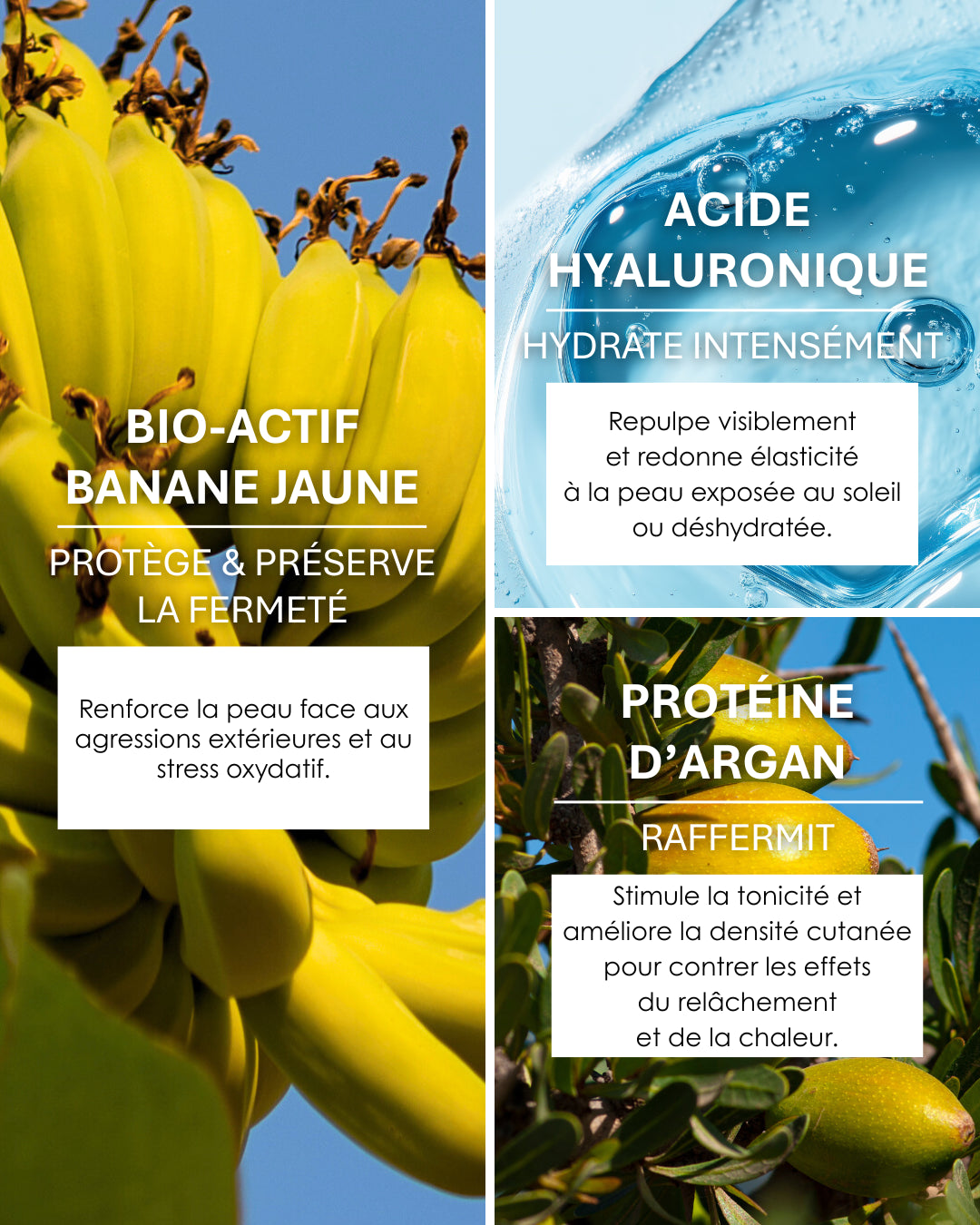 Ingrédients actifs de Musalift : banane jaune, acide hyaluronique, argan