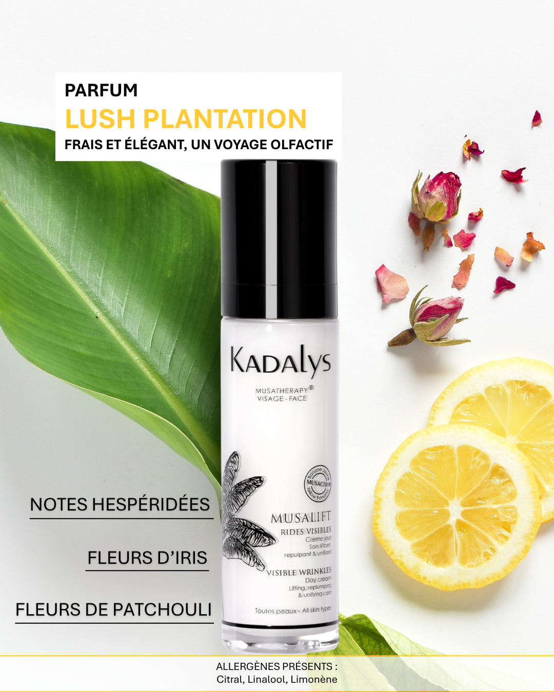 Parfum Lush Plantation du soin Musalift : notes hespéridées, iris et patchouli