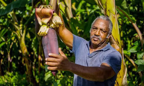 Toni Dambas, ambassadeur de Kadalys engagé pour une cosmétique inclusive et durable