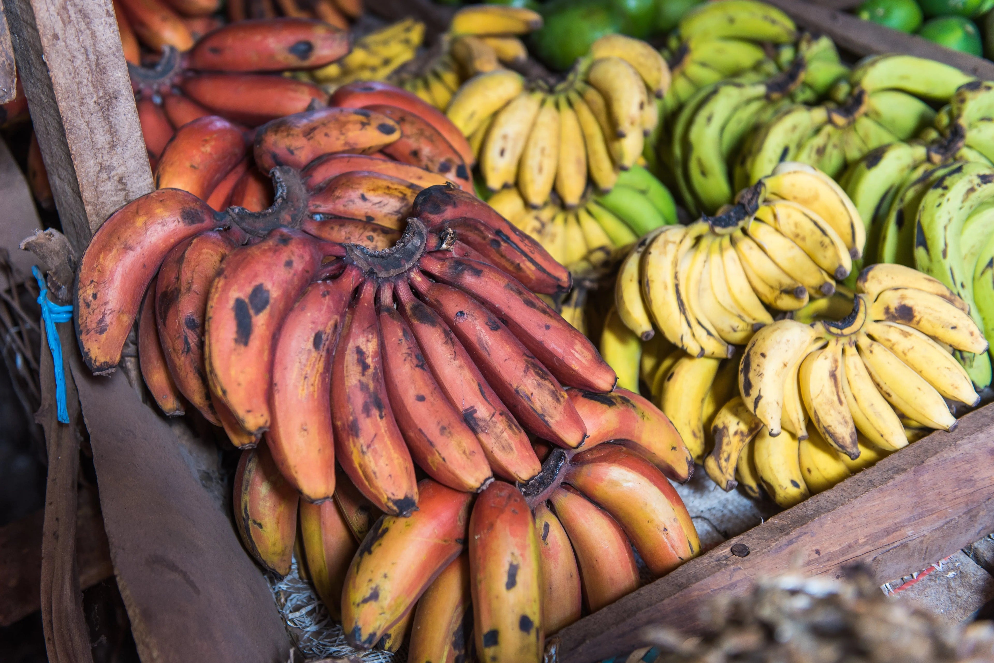 Bio-actif-Banane-notre-ingrédient-phare-pour-une-peau-éclatante KADALYS Image