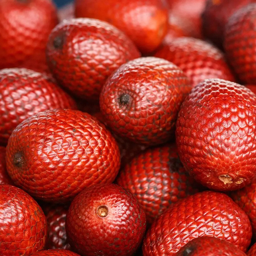 Buriti Image
