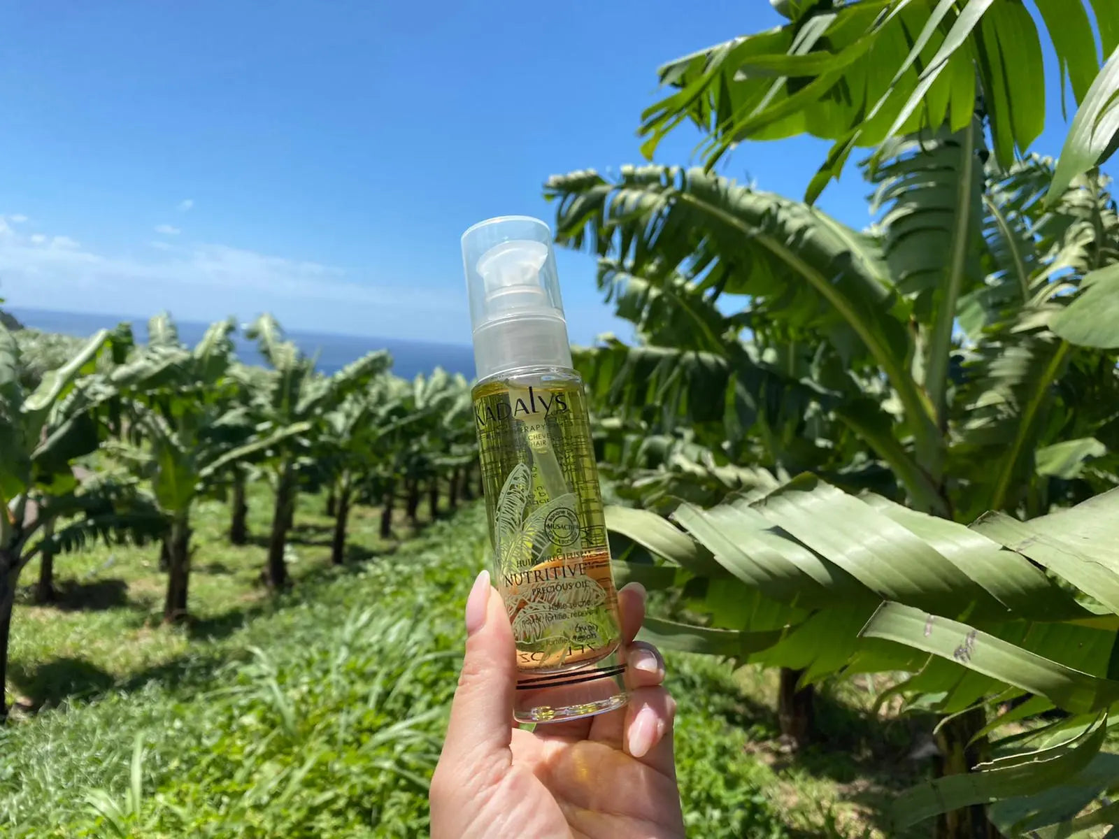 Comment prévenir et traiter la desquamation ?