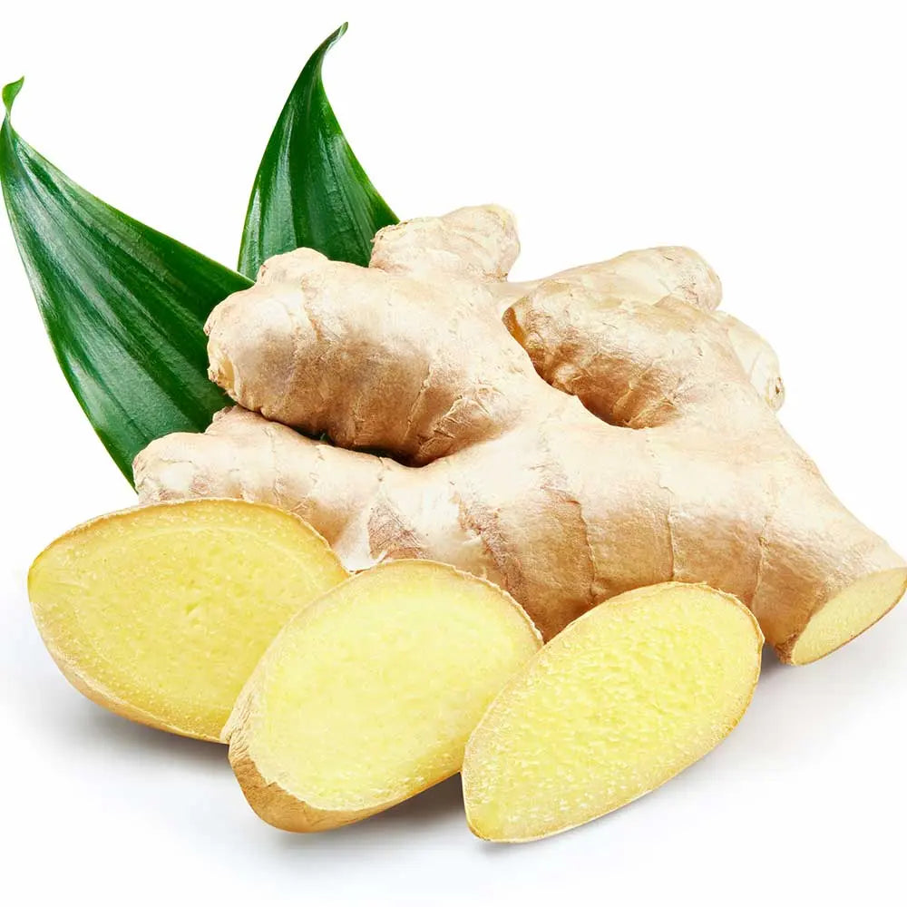 Extrait de Racine de Gingembre Image