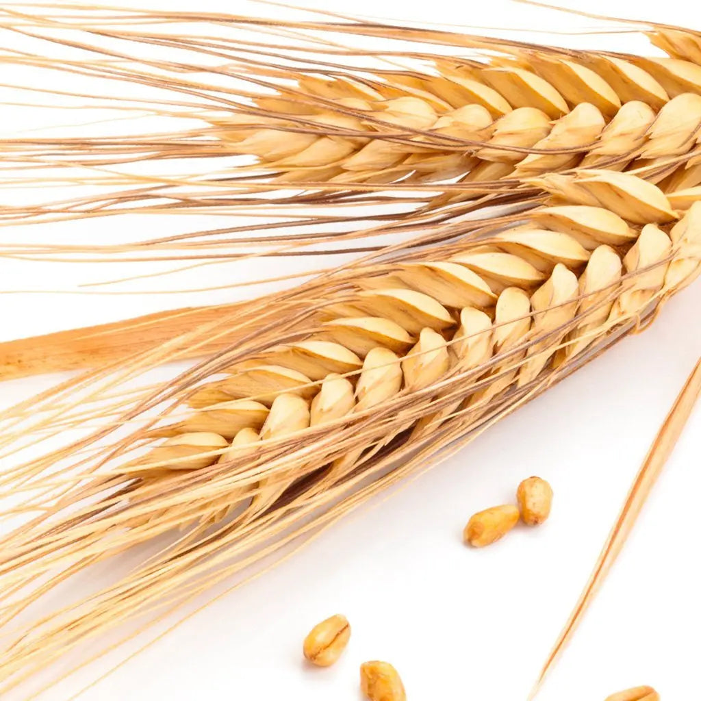 Extrait de son de blé