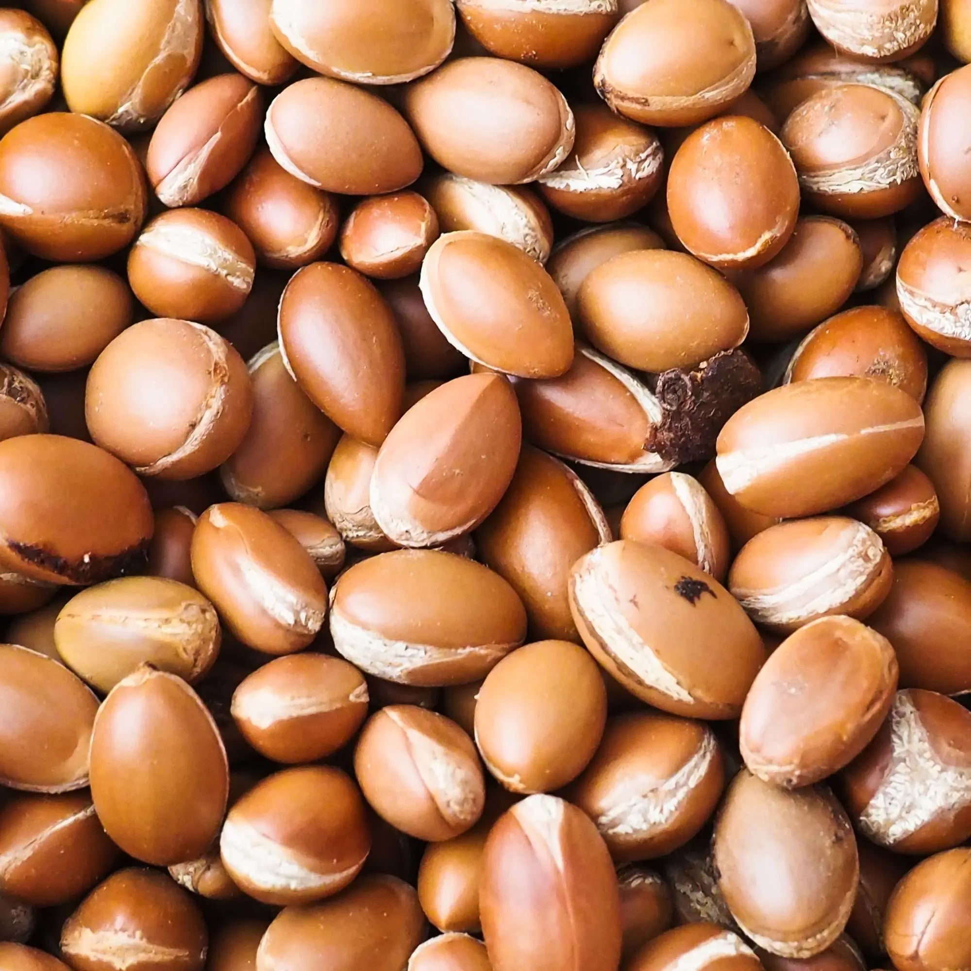 L-Huile-d-Argan-l-ingrédient-star-aux-propriétés-anti-âge KADALYS Image