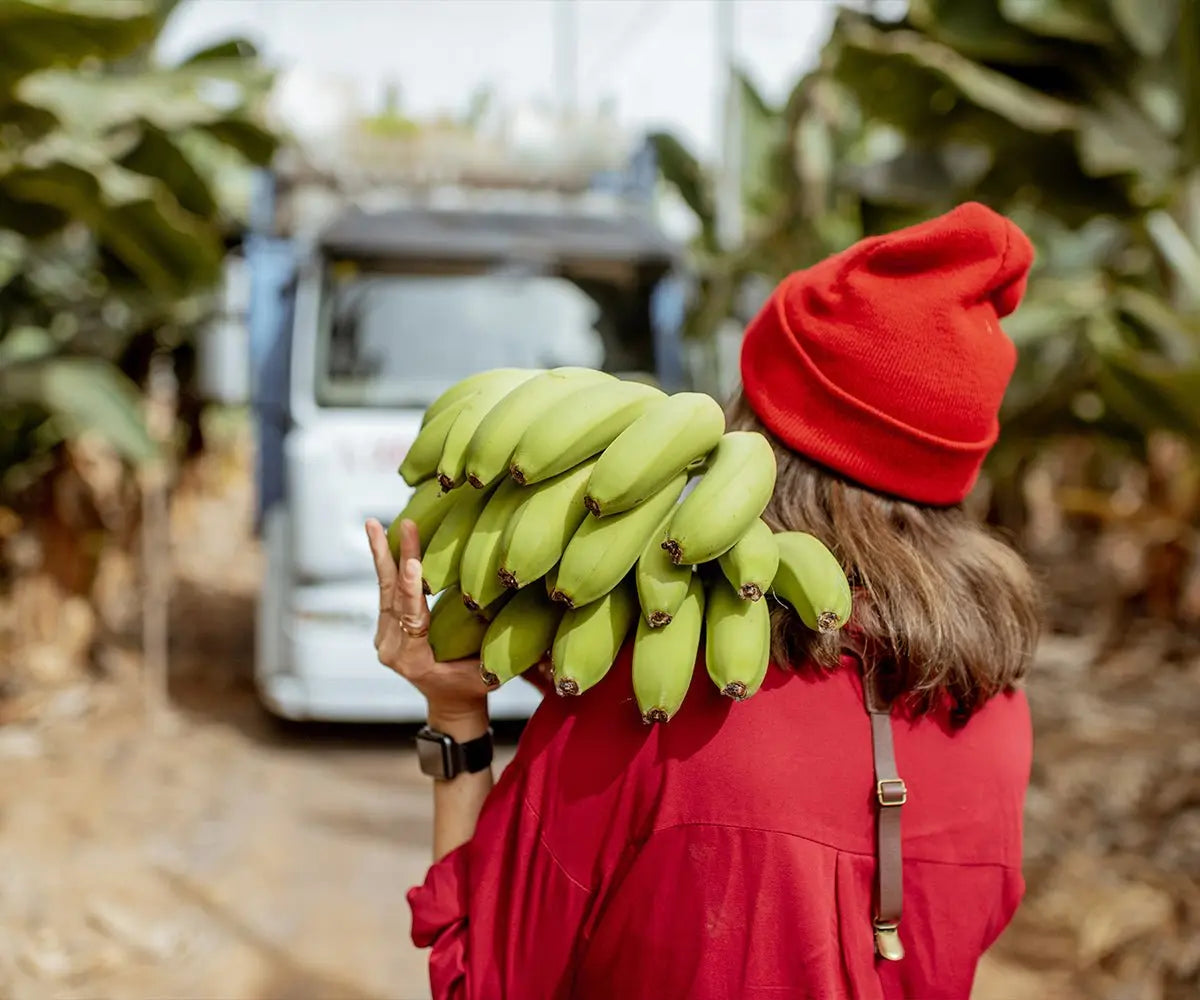 L'Upcycling, à l'origine de la marque de cosmétique bio Kadalys, composée d’ingrédients issus de bananiers upcyclés. Image