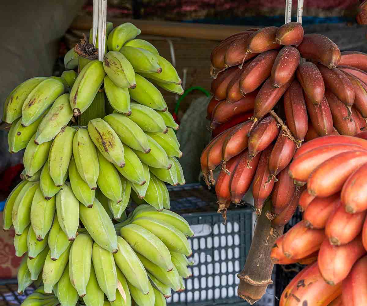 Quels sont les bienfaits des soins à la banane sur la peau ? Image