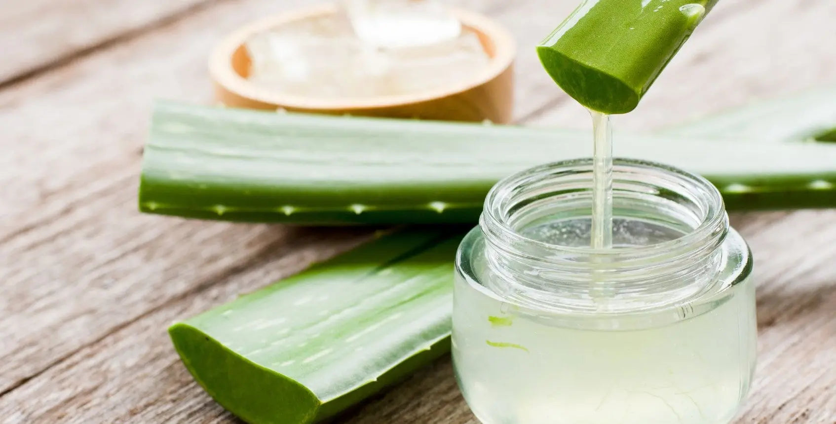 Zoom sur l'Aloé Vera : le secret d'une peau éclatante et apaisée