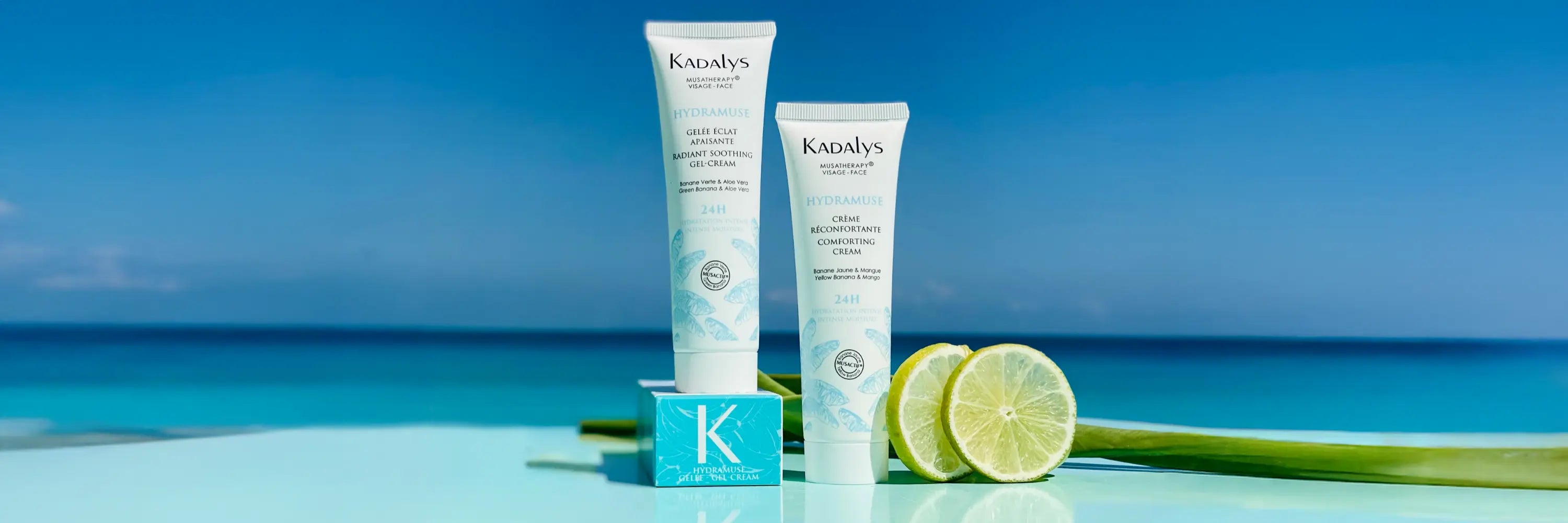 Crèmes Hydratantes Visage