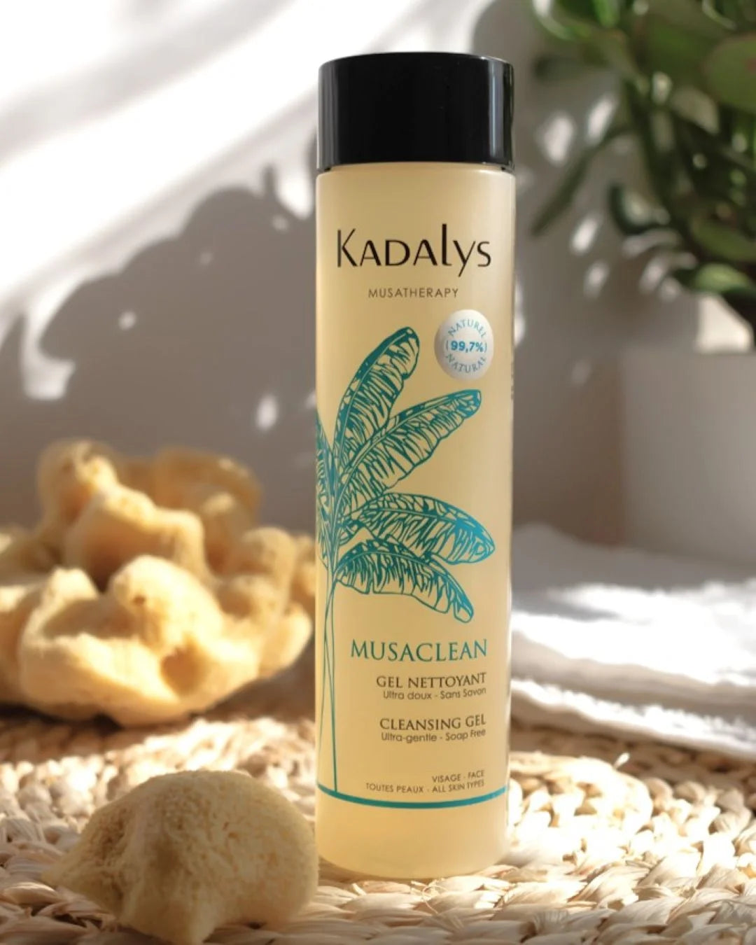 Perfect Canvas - Duo Double nettoyage