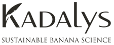 KADALYS