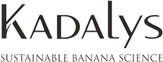 KADALYS