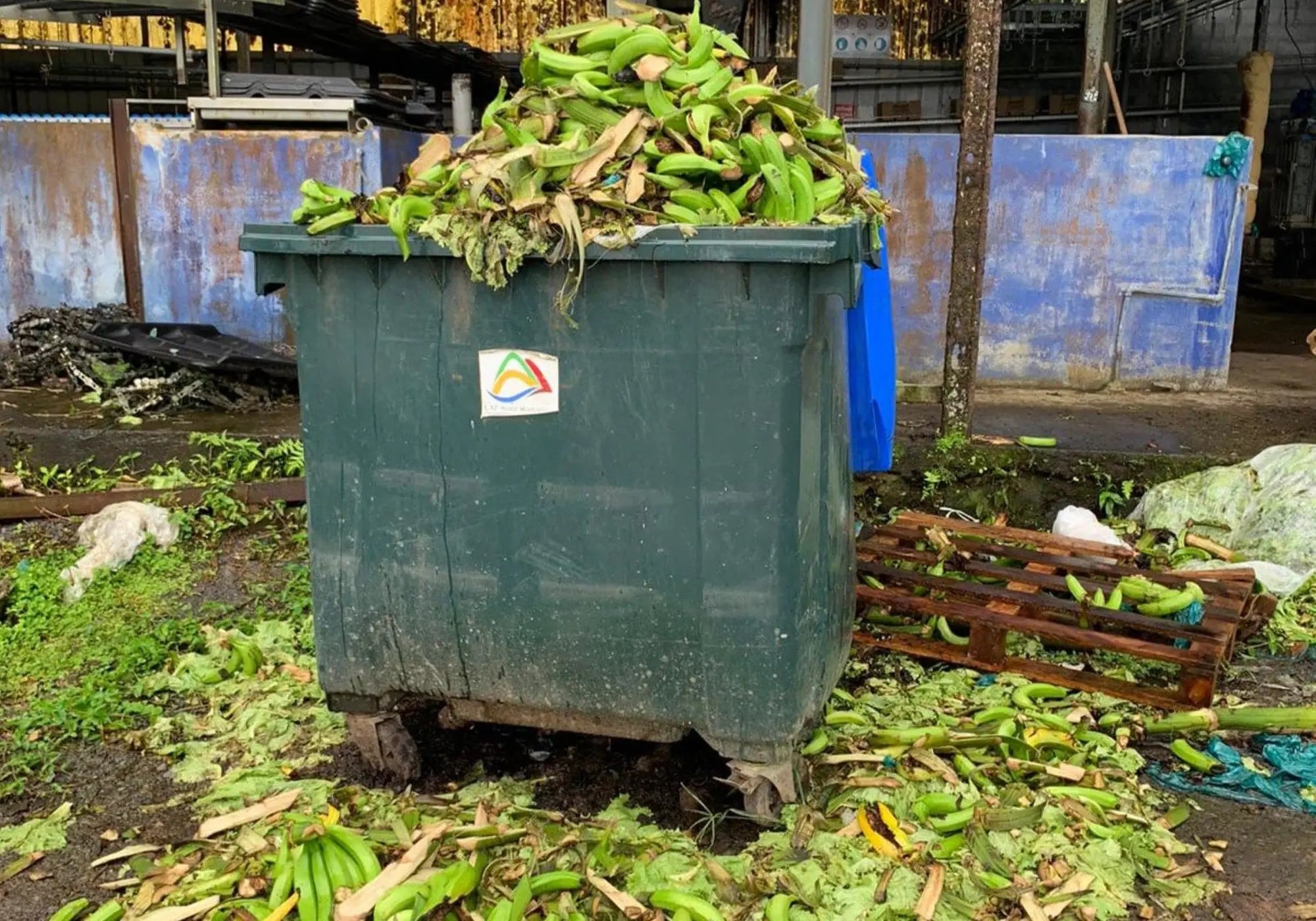 Bananes vertes de rebut valorisées par upcycling dans les soins cosmétiques Kadalys Image
