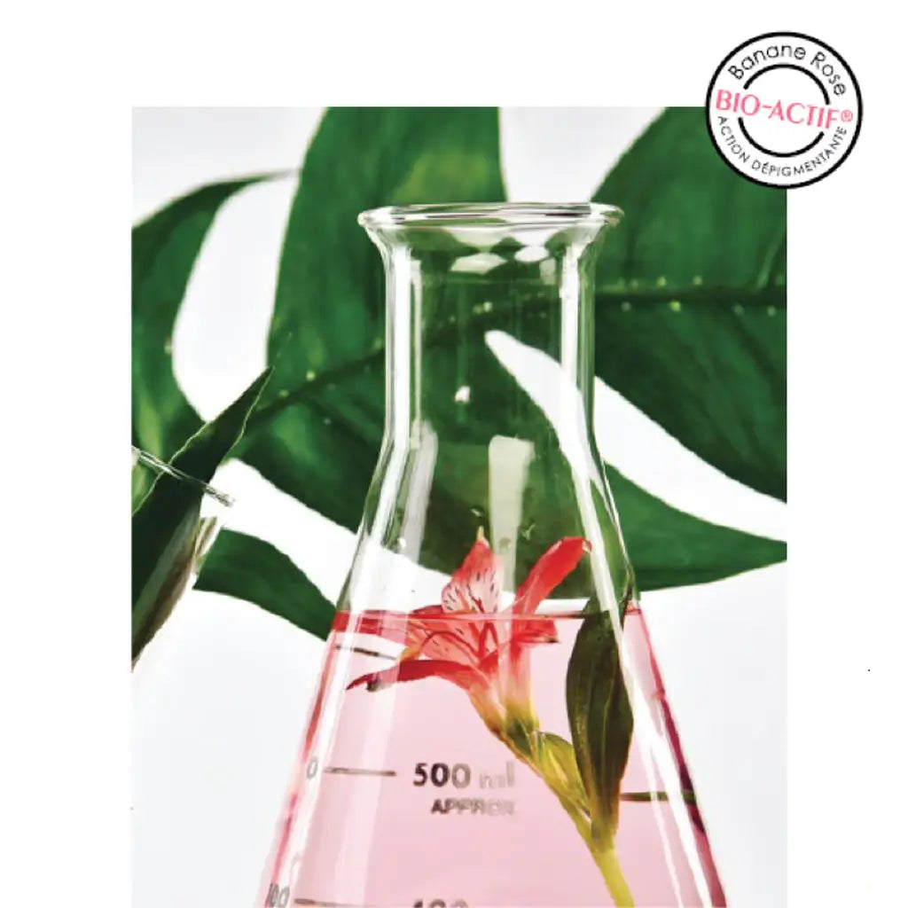 Extrait bio-actif de banane rose – ingrédient rare aux vertus éclat dans les soins Kadalys
 Image