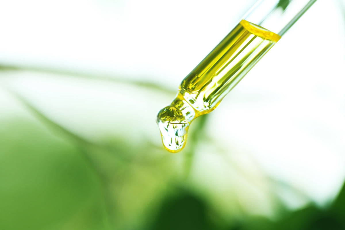Goutte d'actif de bananier extraite en laboratoire, pipette sur feuille verte — Musatherapy Kadalys Image