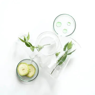 Formulation cosmétique végétale – soins Kadalys alliant nature et efficacité
