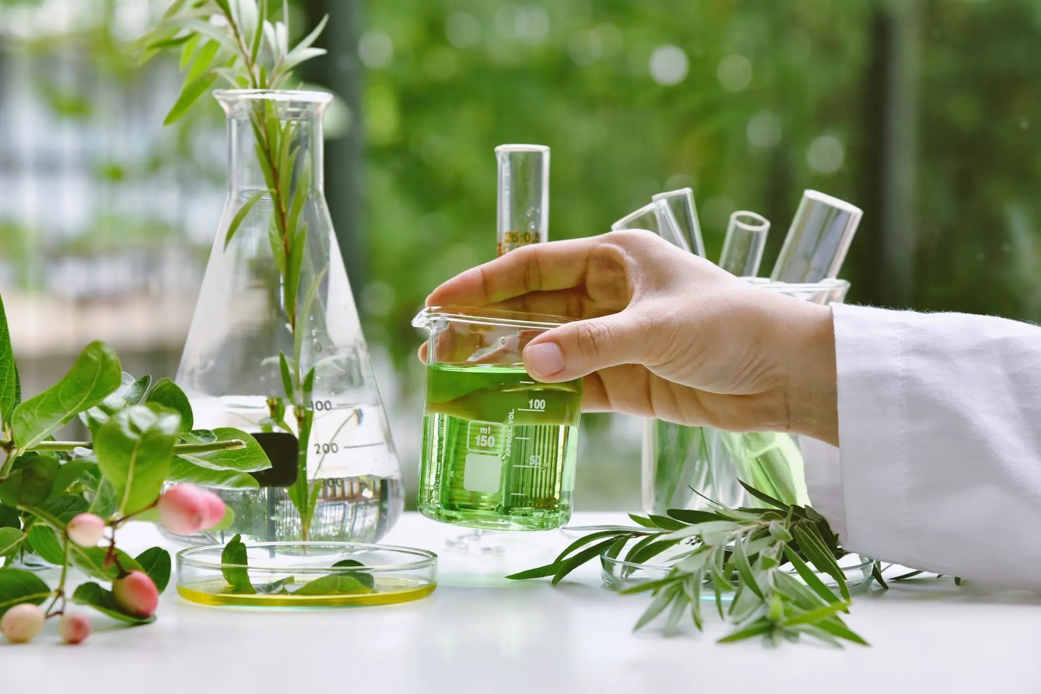 Formulation végétale en laboratoire – innovation naturelle des soins Kadalys
