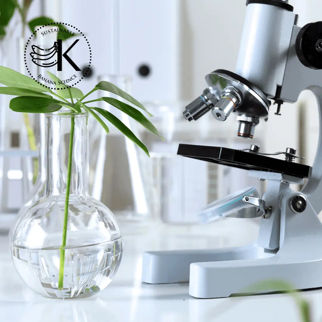 Microscope de laboratoire avec plante en flacon, illustrant la science verte durable de Kadalys.