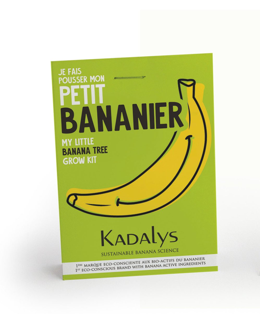 Graines de bananier - KADALYS - Accessoire